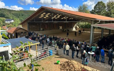 Hessische Fohlenreise: Bestes Hessische Stutfohlen ist vom Hemsberg!